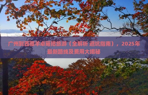 广州到西藏羊卓雍措旅游