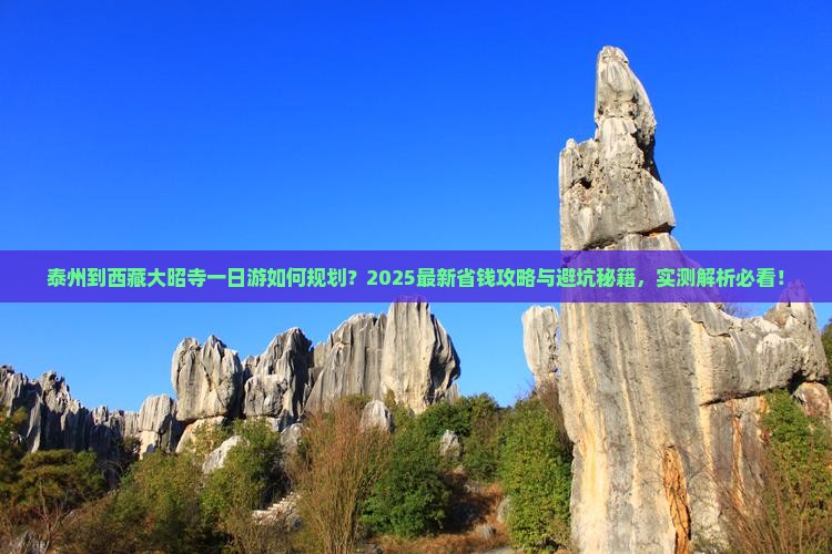 泰州到西藏大昭寺一日