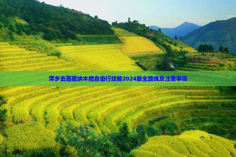 萍乡去西藏纳木措自由行