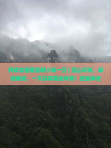 阿坝去西藏鲁朗小镇一日