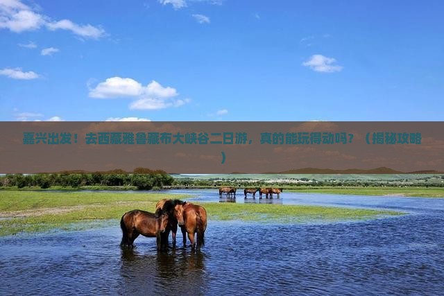 嘉兴去西藏雅鲁藏布大峡谷二日游
