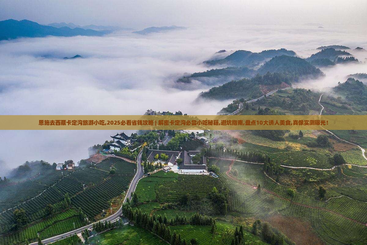 恩施去西藏卡定沟旅游小吃