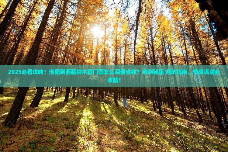 洛阳到西藏纳木措门票