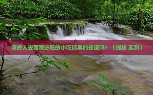 清徐去西藏旅游小吃