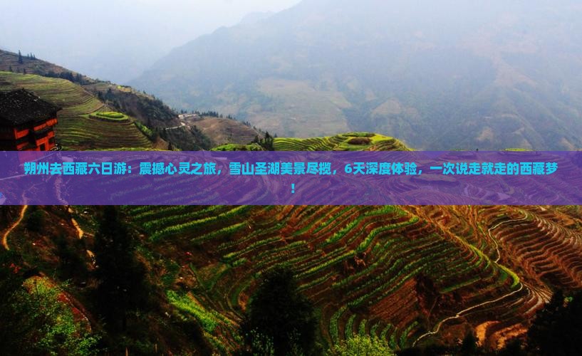 朔州去西藏六日游