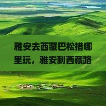 雅安去西藏巴松措哪里玩