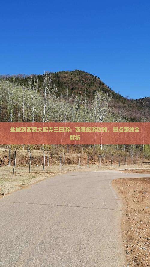 盐城到西藏大昭寺三日游
