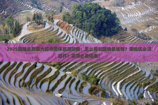 楚雄去西藏大昭寺团体旅游