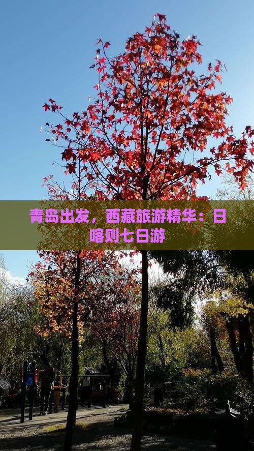 青岛去西藏日喀则七日游