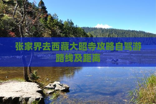 张家界去西藏大昭寺攻略