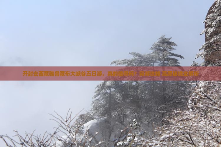 开封去西藏雅鲁藏布大峡谷五日游