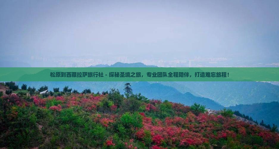 松原到西藏拉萨旅行社