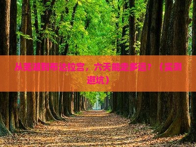 芜湖到西藏布达拉宫六日游