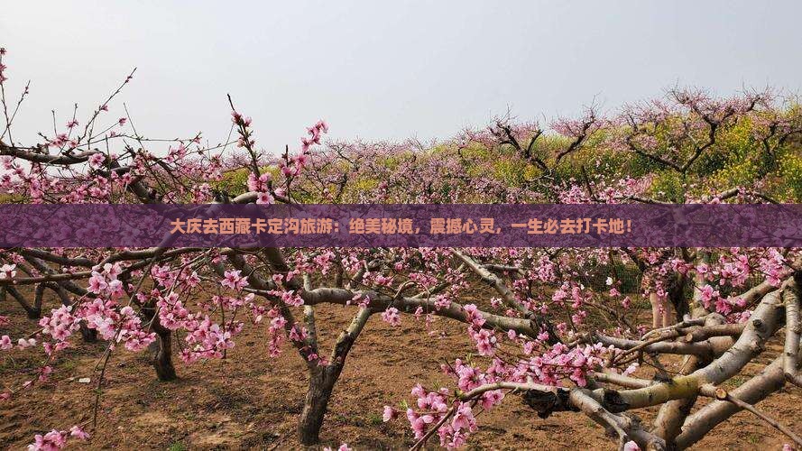 大庆去西藏卡定沟旅游