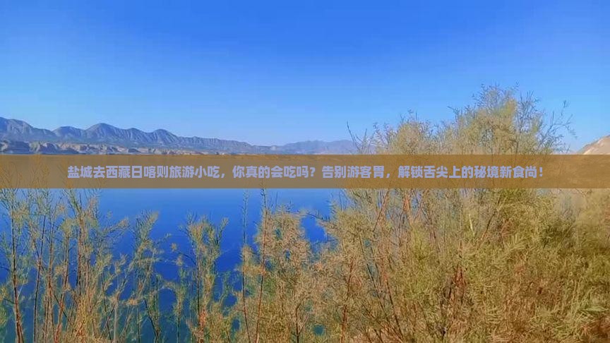 盐城去西藏日喀则旅游小吃