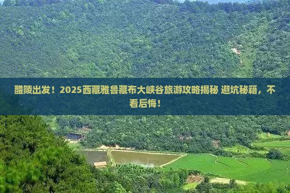 醴陵去西藏雅鲁藏布大峡谷旅游