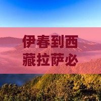 伊春到西藏拉萨必去地 伊春到西藏拉萨必去地