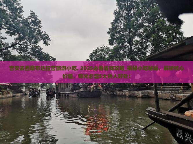 吉安去西藏布达拉宫旅游小吃