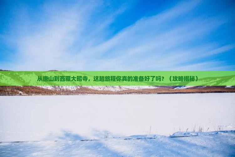 唐山去西藏大昭寺景点