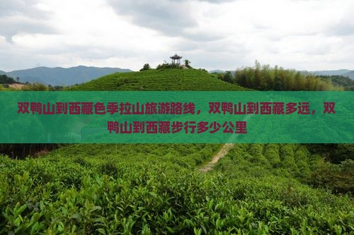 双鸭山到西藏色季拉山旅游
