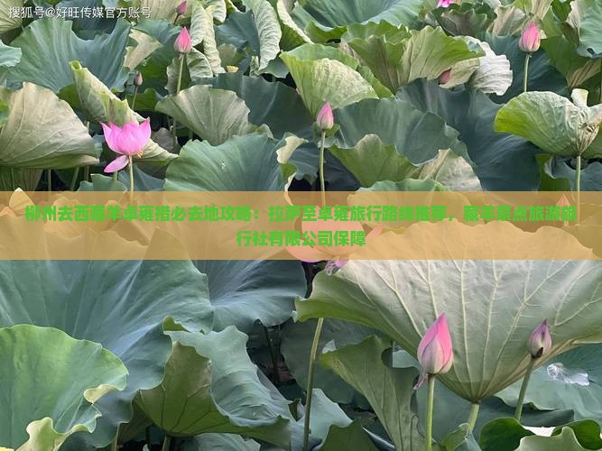 柳州去西藏羊卓雍措必去地