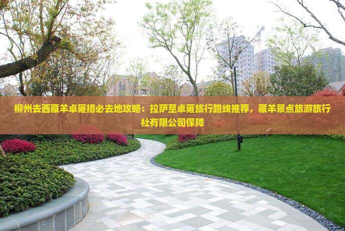 柳州去西藏羊卓雍措必去地