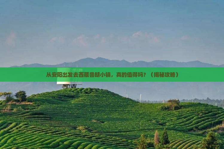 安阳去西藏鲁朗小镇旅游