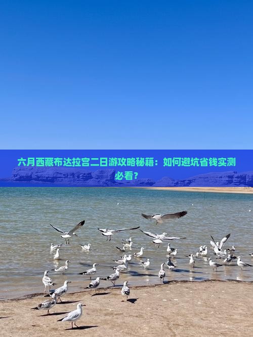 六月去西藏布达拉宫二日游