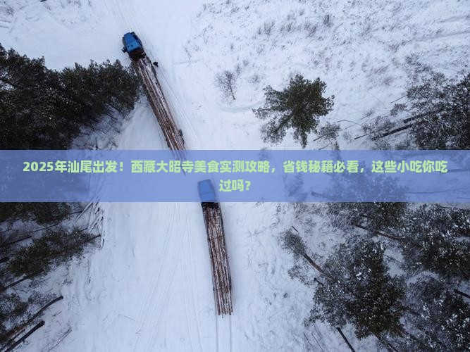 汕尾到西藏大昭寺旅游小吃