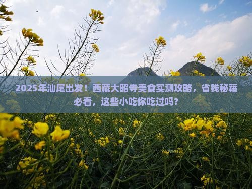 汕尾到西藏大昭寺旅游小吃