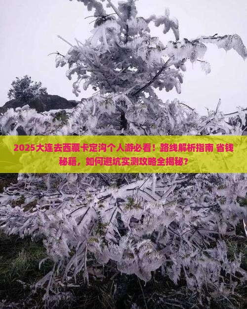大连去西藏卡定沟个人游