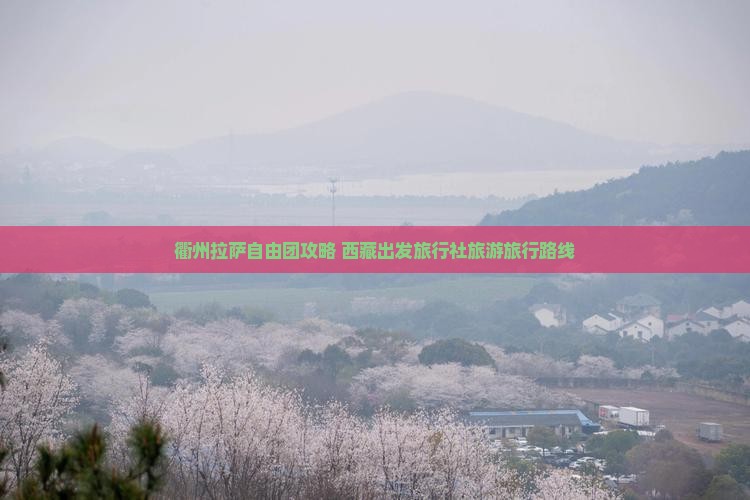 衢州去西藏拉萨自由团