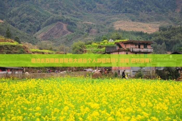 临沧去西藏雅鲁藏布大峡谷个人游