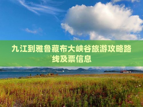 九江到西藏雅鲁藏布大峡谷旅游