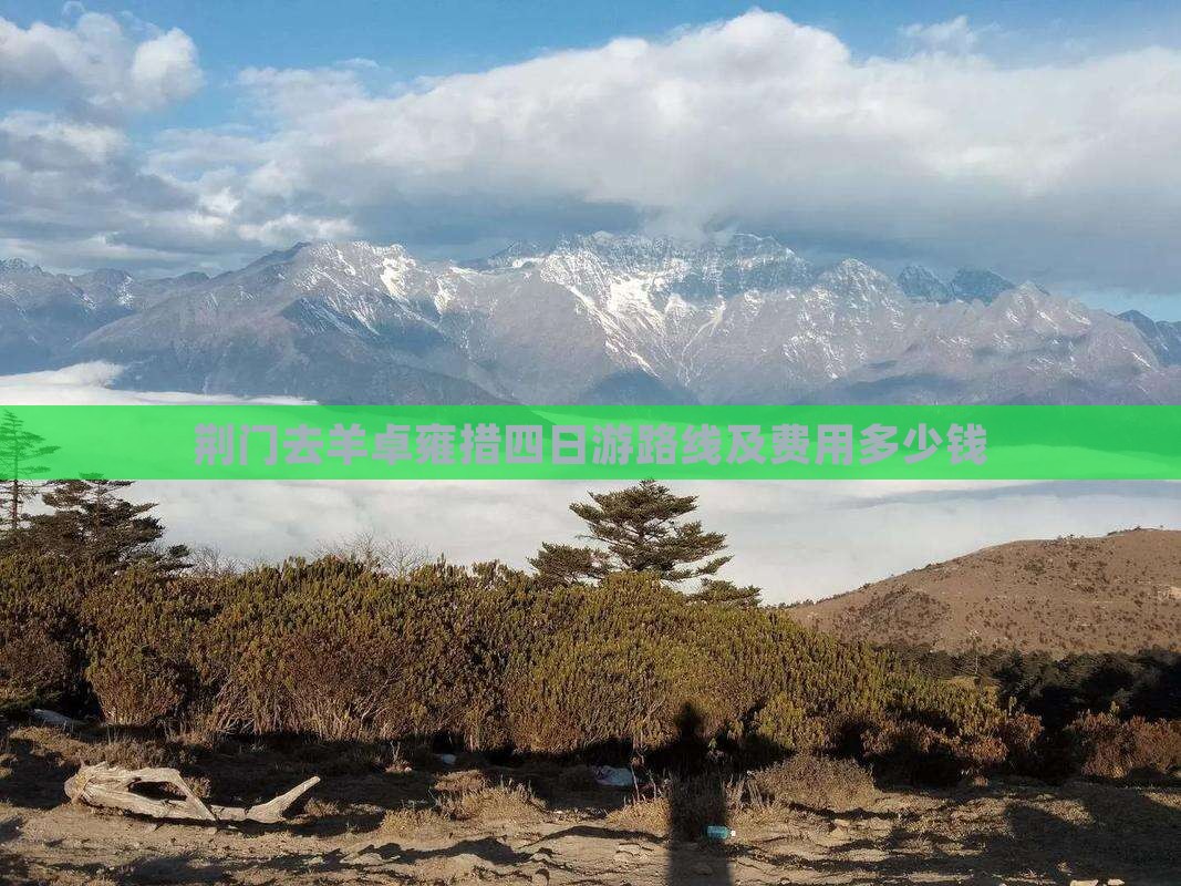 荆门去西藏羊卓雍措四日游