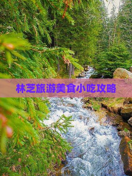 景德镇去西藏林芝旅游小吃