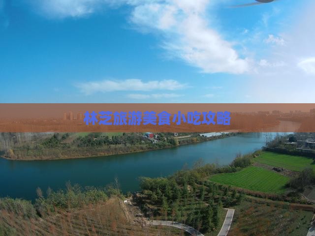 景德镇去西藏林芝旅游小吃