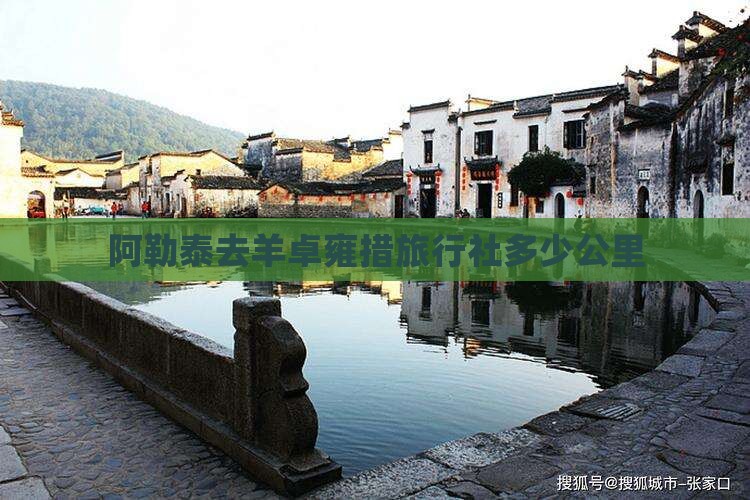 阿勒泰去西藏羊卓雍措旅行社