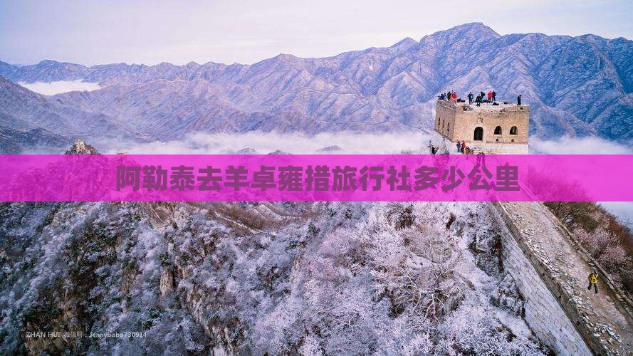 阿勒泰去西藏羊卓雍措旅行社