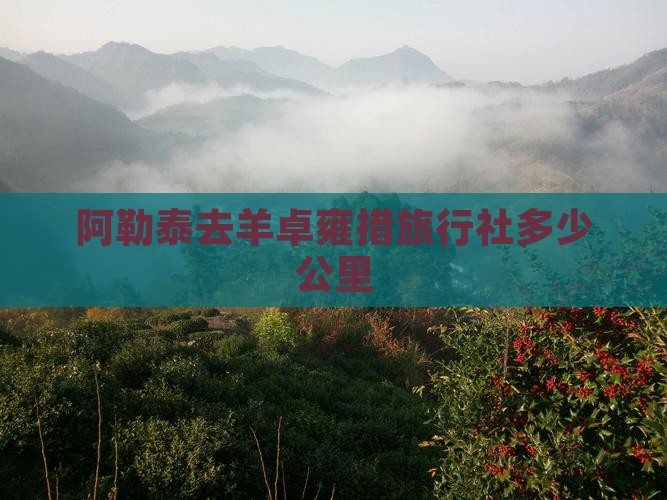 阿勒泰去西藏羊卓雍措旅行社