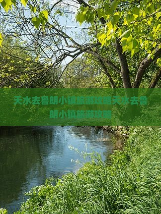 天水去西藏鲁朗小镇旅游