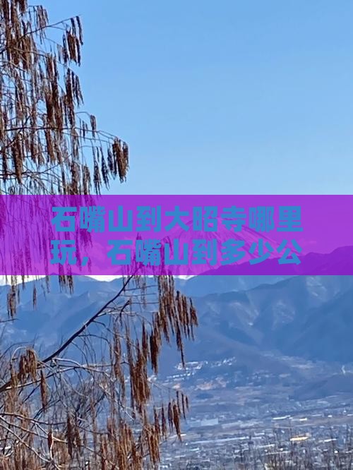 石嘴山到西藏大昭寺哪里玩