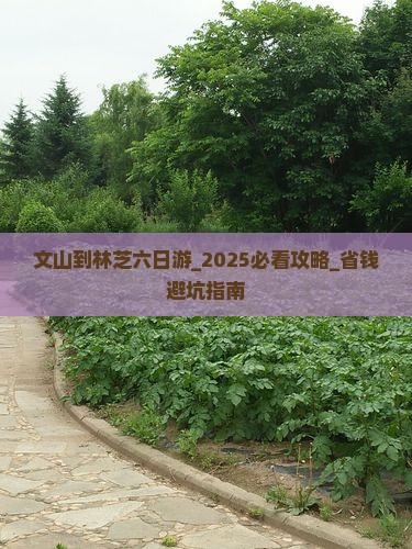 文山到西藏林芝六日游