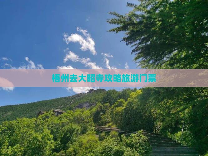 梧州去西藏大昭寺门票