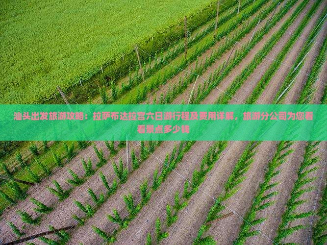 汕头出发旅游攻略：拉萨布达拉宫六日游行程及费用详解，旅游分公司为您看看景点多少钱