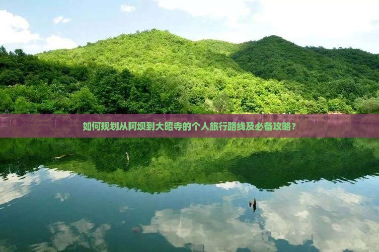 如何规划从阿坝到大昭寺的个人旅行路线及必备攻略？