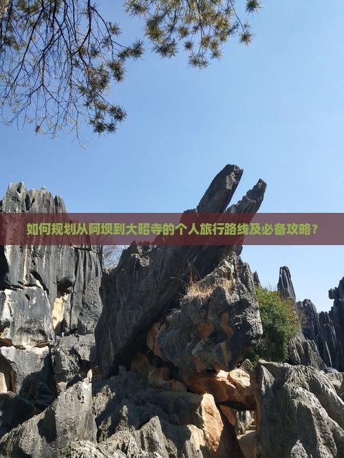 如何规划从阿坝到大昭寺的个人旅行路线及必备攻略？