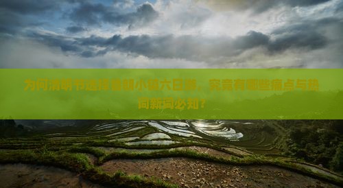 为何清明节选择鲁朗小镇六日游，究竟有哪些痛点与热词新词必知？