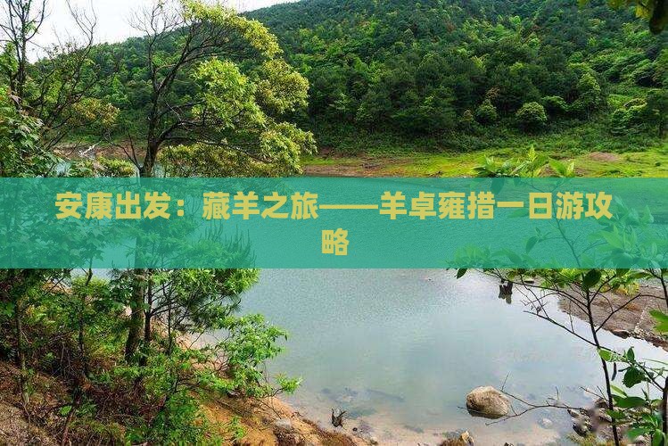 安康出发：藏羊之旅——羊卓雍措一日游攻略
