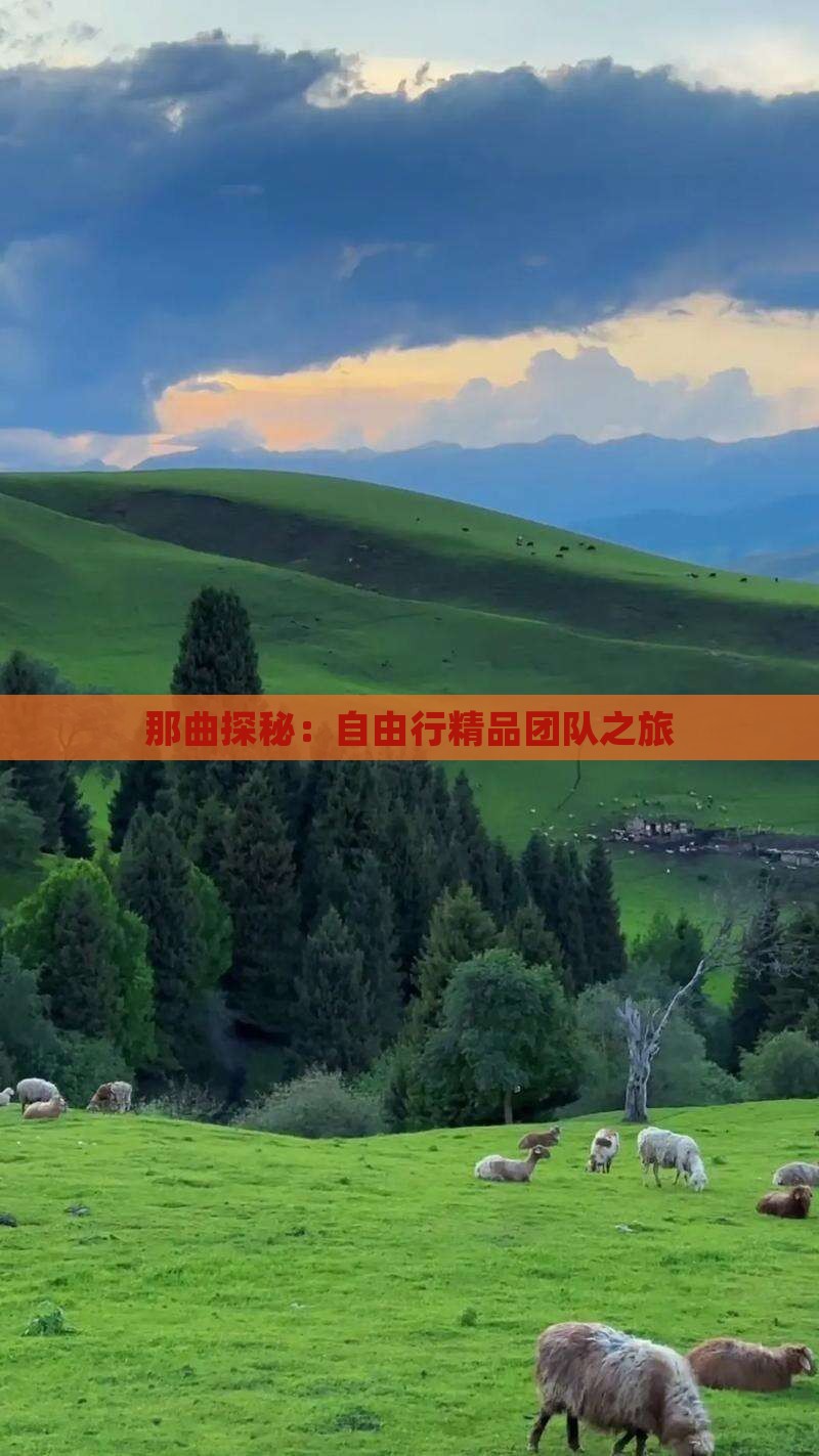 那曲探秘：自由行精品团队之旅